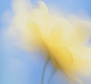The Ethics of AI-Generated Visual Content